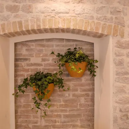 Apartmán Olive Grove Of - With Gallery Šibenik