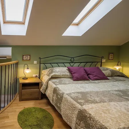 Olive Grove Of - With Gallery