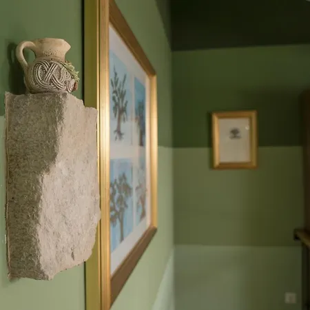 Olive Grove Of - With Gallery