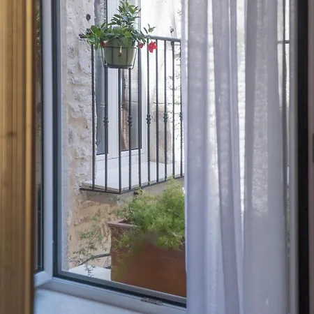 Olive Grove Of - With Gallery *