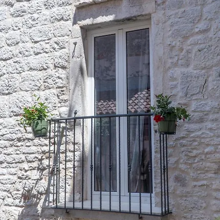 Olive Grove Of - With Gallery *