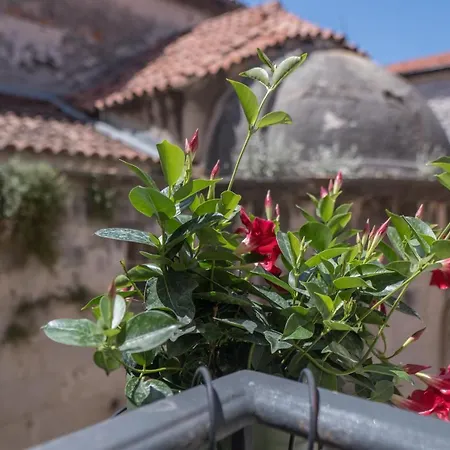 Olive Grove Of - With Gallery Apartment Sibenik