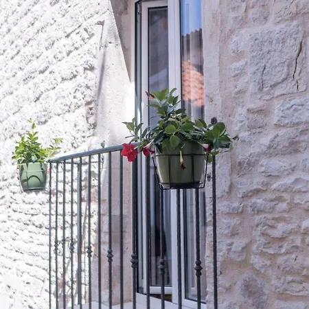 Olive Grove Of - With Gallery Apartment *