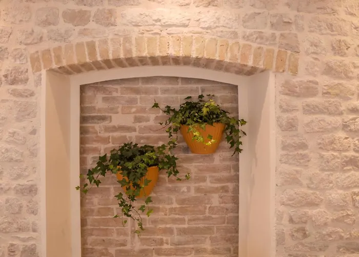 公寓 Olive Grove Of - With Gallery 希贝尼克