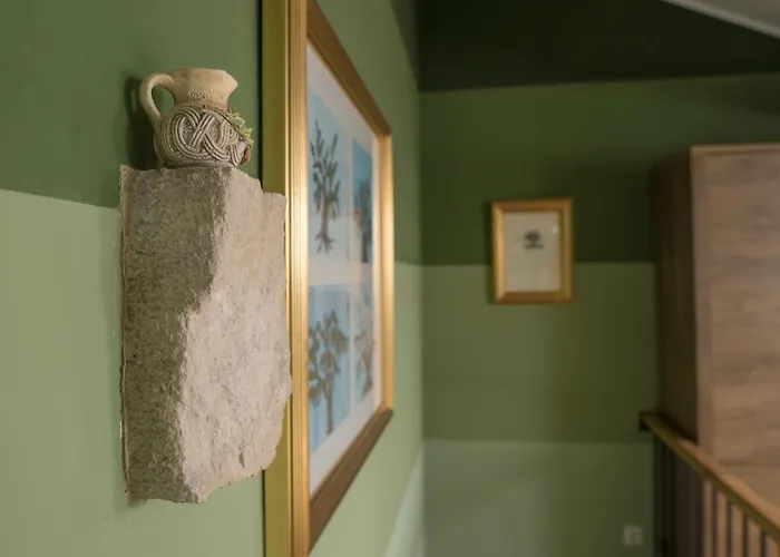 Olive Grove Of - With Gallery