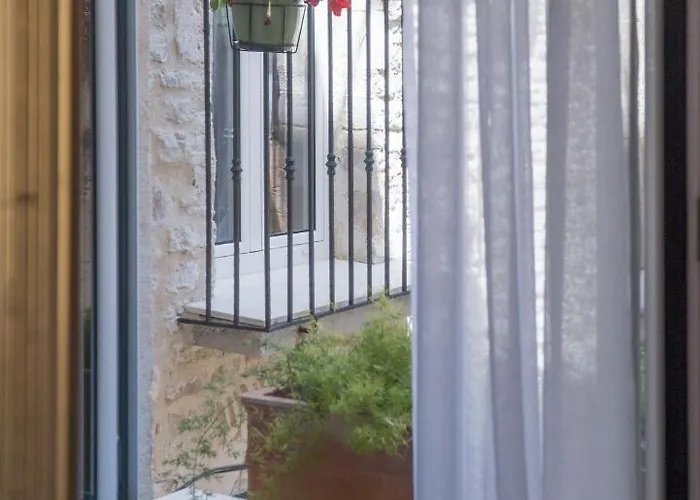 Olive Grove Of - With Gallery *