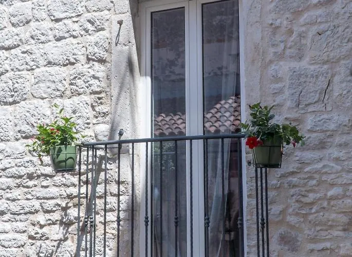 Olive Grove Of - With Gallery *