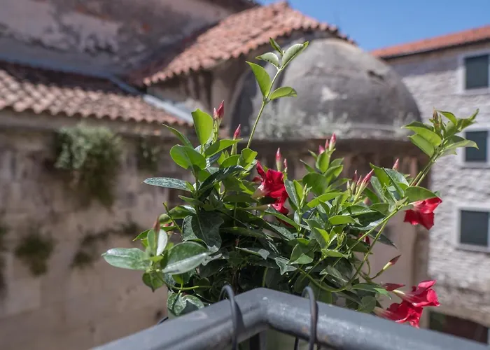 Olive Grove Of - With Gallery 公寓 希贝尼克