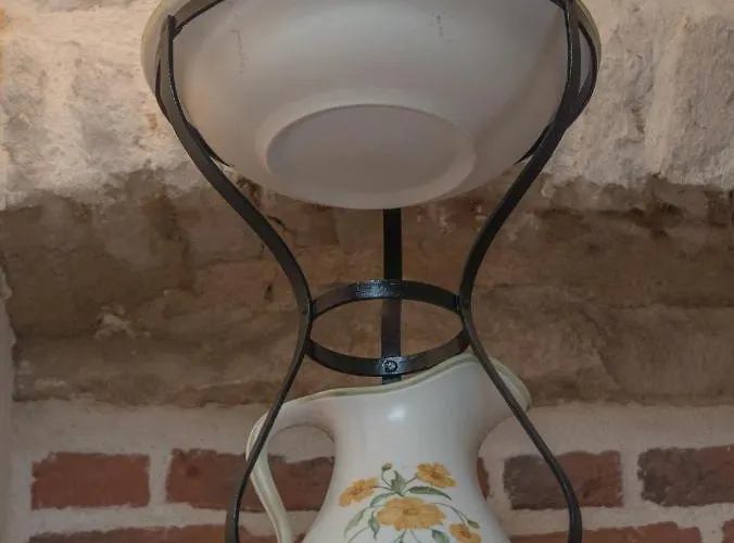 Olive Grove Of - With Gallery 希贝尼克