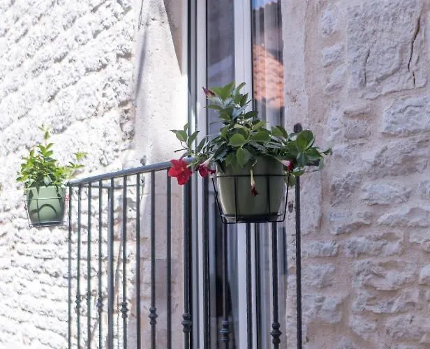 Olive Grove Of - With Gallery 公寓 *